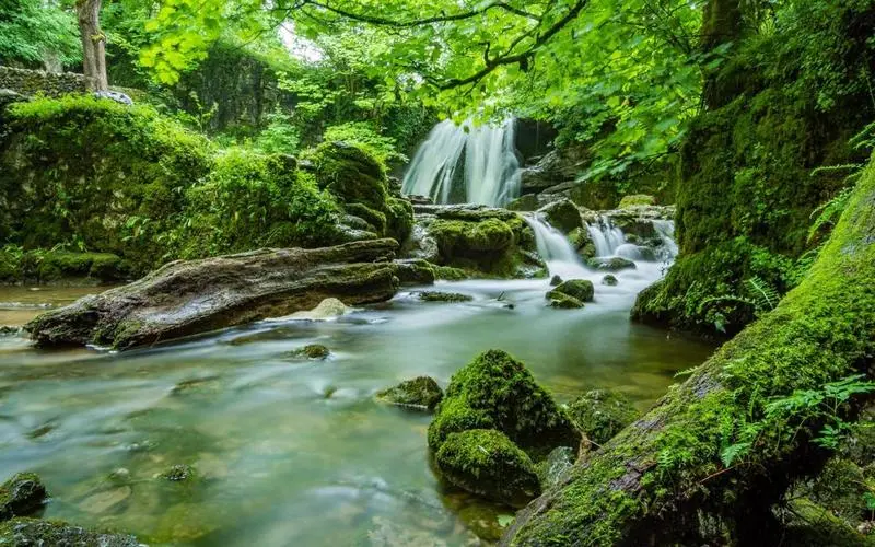 节能可靠性全自动